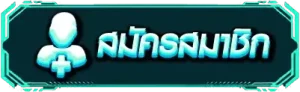 RUBSUBPLUS register